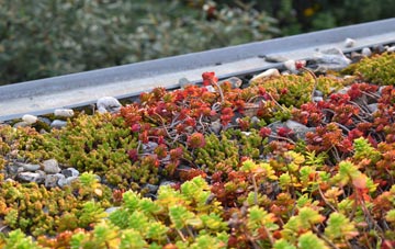 the cost of Great Paxton green roof installation