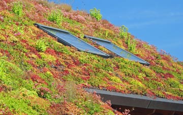 Great Paxton living roof systems
