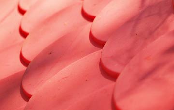 Great Paxton plastic roof costs