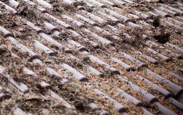 Great Paxton roof cleaning companies