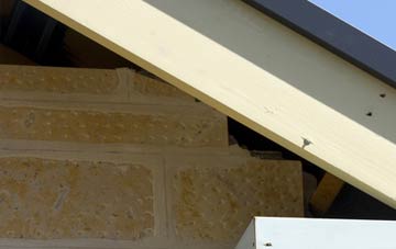 soffit repair Great Paxton